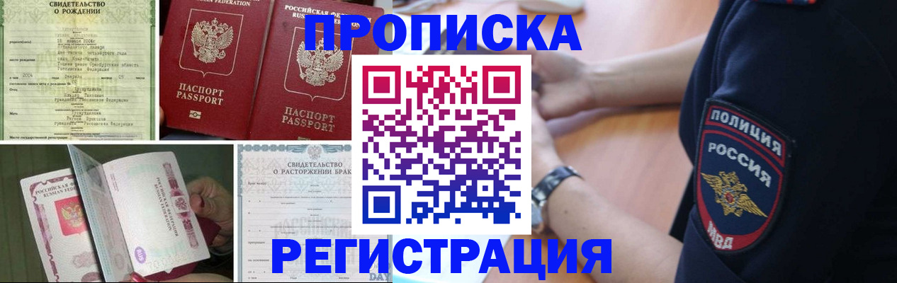 временная регистрация поиск в Камчатской области